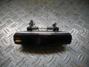 Türgriff rechts vorne AUDI A6 (4F, C6)