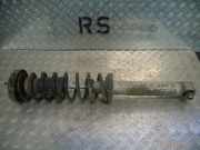 Federbein links hinten BMW 5er (E39)