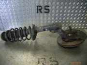 Federbein rechts vorne SEAT Toledo I (1L)