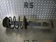 Federbein links vorne BMW 3er (E36)