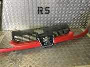 Kühlergrill Peugeot 206 Schrägheck 2A/C