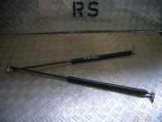 Heckklappendämpfer RENAULT Megane Scenic (JA)