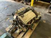Motor ohne Anbauteile FIAT Barchetta (183)