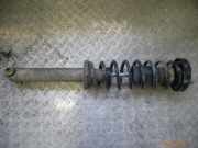 Federbein links hinten BMW 5er (E39)