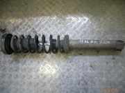 Federbein rechts hinten BMW 5er (E39)