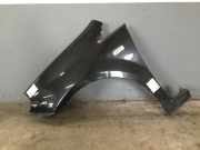 Kotflügel links vorne FIAT Punto Evo (199)