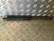 Gasfeder für Motorhaube BMW 1er (E87)