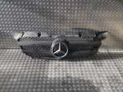 Kühlergrill MERCEDES-BENZ Sprinter 3,5t Kasten (906) A9068800385