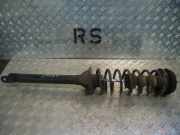Federbein links hinten FORD Fiesta IV (JA, JB)