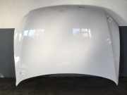 Motorhaube VW Polo V (6R, 6C)