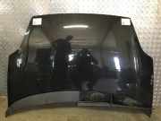 Motorhaube FIAT Grande Punto (199) FARBCODE: 876