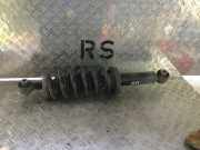 Federbein rechts hinten PEUGEOT 407 SW