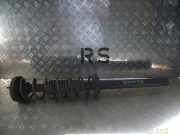 Federbein rechts hinten RENAULT Twingo I (C06)