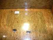 Türscheibe rechts hinten HONDA Insight (ZE)