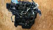 Motor ohne Anbauteile (Diesel) FORD Focus C-Max (C214) 1679684