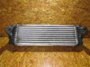 Ladeluftkühler FORD Transit Connect (P*2)
