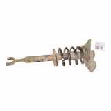 Federbein links vorne VW Passat B5.5 (3B3)