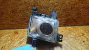 Nebelscheinwerfer links OPEL Signum (Z-C/S) 13123958