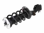 Federbein VW Crafter Kasten (SY, SX) 2.0 TDI 75 kW 102 PS (10.2016-> ) 2N04130