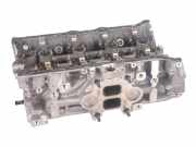 Zylinderkopf VW Golf VIII (CD) 2.0 TSI R 4motion 235 kW 320 PS (09.2020-> )