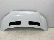 Motorhaube FORD Transit V363 Pritsche/Fahrgestell (FED, FFD) 2.0 TDCi 125 kW 170 PS (03.2016-> ) (ab 03/2016)