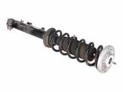 Federbein links hinten BMW 5er (G30, F90) 530d 195 kW 265 PS (09.2016-> ) 6886