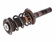 Federbein rechts vorne AUDI A3 Sportback (8V) RS3 quattro 270 kW 367 PS (03.20