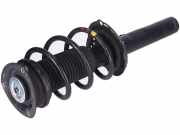 Federbein links rechts vorne VW Tiguan II 2 (AD)