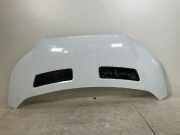 TKK31-A16612-AA Motorhaube FORD Transit V363 Pritsche/Fahrgestell (FED, FFD) 2.0