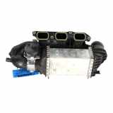 Ansaugkrümmer VW Golf VIII (CD) 1.0 TSI 81 kW 110 PS (02.2020-> ) (ab 02/2020)
