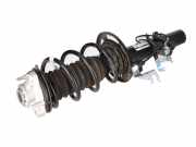 Federbein rechts vorne BMW X4 (G02, F98) xDrive 20d 140 kW 190 PS (04.2018-> )