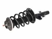 Federbein VW Transporter T5 Kasten 1.9 TDI 63 kW 86 PS (04.2003-11.2009) 7E541