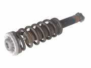 Federbein rechts hinten BMW X3 (F25) xDrive 20d 135 kW 184 PS (09.2010-03.2014) (09/2010-03/2014)