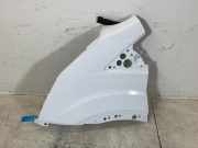 Kotflügel links vorne FORD Transit V363 Pritsche/Fahrgestell (FED, FFD) 2.0 TDCi
