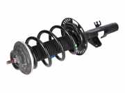 Federbein VW Transporter T6 Bus/Caravelle 2.0 TDI 110 kW 150 PS (04.2015-> ) 7