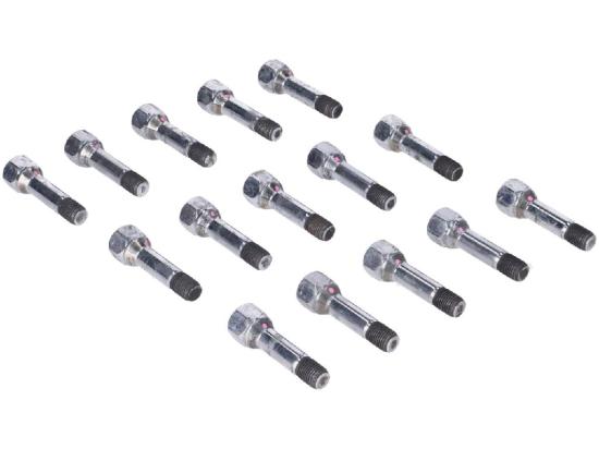 Radbolzensatz FERRARI 458 Bild Radbolzensatz FERRARI 458