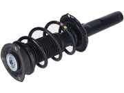 Federbein vorne links rechts VW Tiguan II (AD)