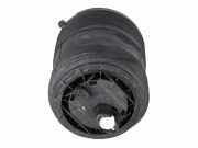 Federbein VW Touareg III (CR7) 3.0 TDI 4motion 170 kW 231 PS (05.2018-> ) 4M46