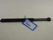 Gasfeder für Motorhaube TESLA Model S (5YJS) 6006603