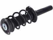 Federbein links rechts vorne VW Tiguan II 2 (AD)