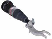 Federbein links vorne AUDI e-tron (GEN) Electric quattro 300 kW 408 PS (09.201