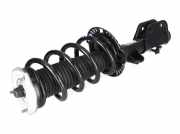 2N0413031BL Federbein MAN TGE Kasten 2.0 TDI 103 kW 140 PS (02.2017-> )