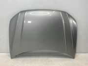 Motorhaube VW Tiguan II (AD) 2.0 TDI 4motion 110 kW 150 PS (01.2016-> ) (ab 01/2016)