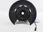 Achsschenkel links hinten BMW X5 (F15, F85) xDrive 30d 190 kW 258 PS (08.2013-07.2018) (08/2013-07/2018)