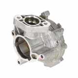 Unterdruckpumpe VW Tiguan II (AD) 2.0 TSI 4motion 180 kW 245 PS (01.2021-> ) (ab 01/2021)