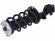 Federbein links rechts vorne VW Crafter (2N, SY, SX)