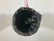 Schaltgetriebe RENAULT Master III Kasten (FV) 2.3 dCi 100 kW 136 PS (07.2014->