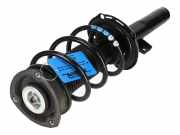 Federbein links rechts vorne VW Polo VI (AW)