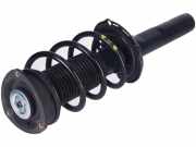 Federbein links rechts vorne VW Tiguan II (AD)