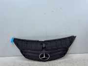 Kühlergrill MERCEDES-BENZ Citan Kasten (W415) 109 CDI 66 kW 90 PS (11.2012-> ) (ab 11/2012)